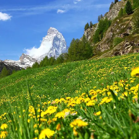 St- Martin-3 By Interhome Lägenhet Zermatt