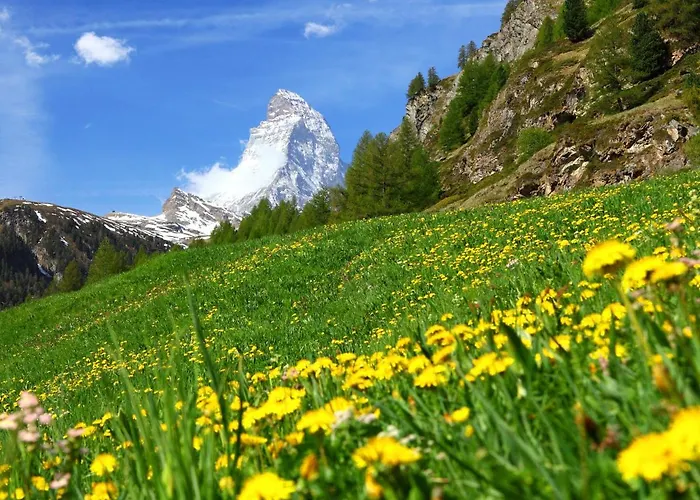St- Martin-3 By Interhome Daire Zermatt